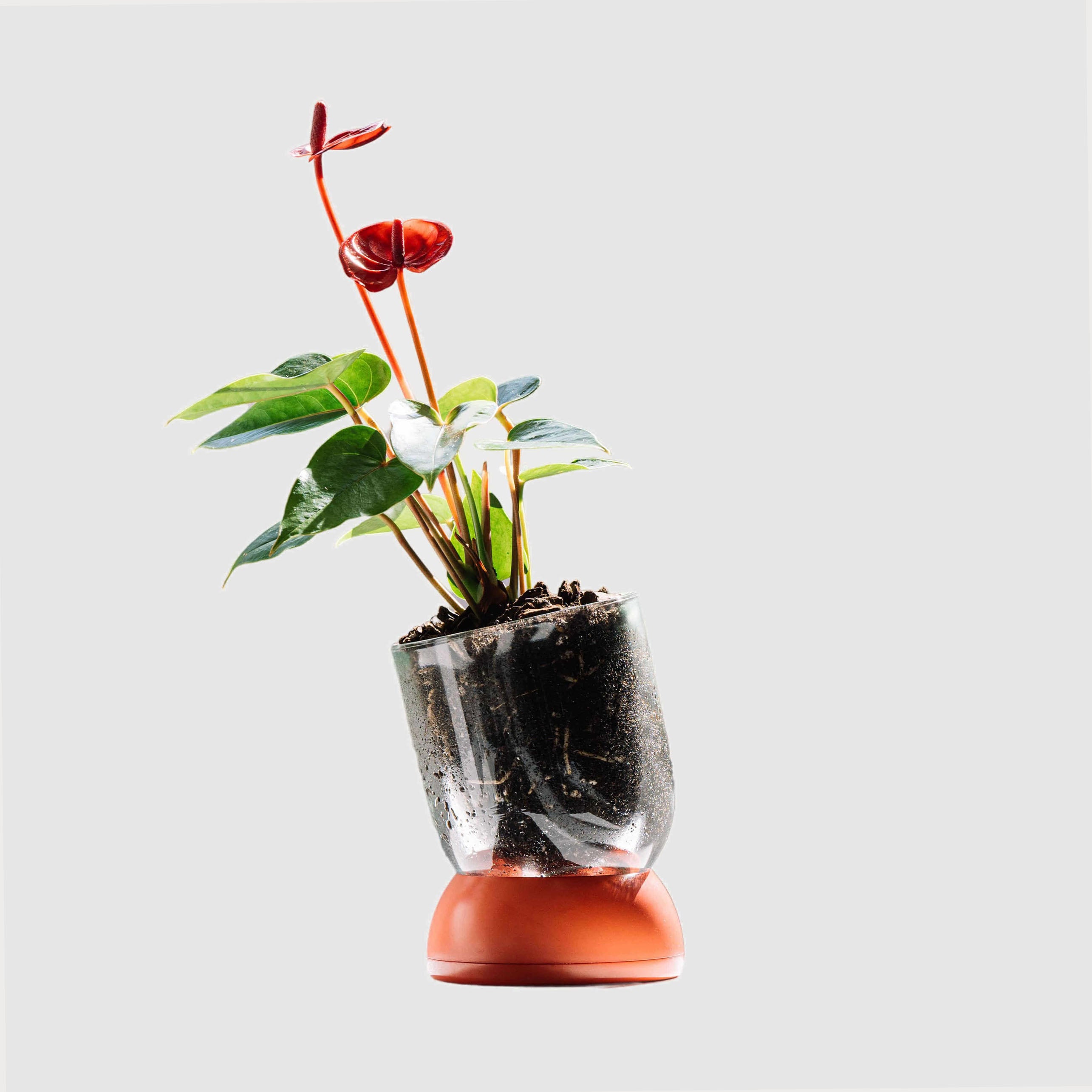 BMIX Горшок для растений