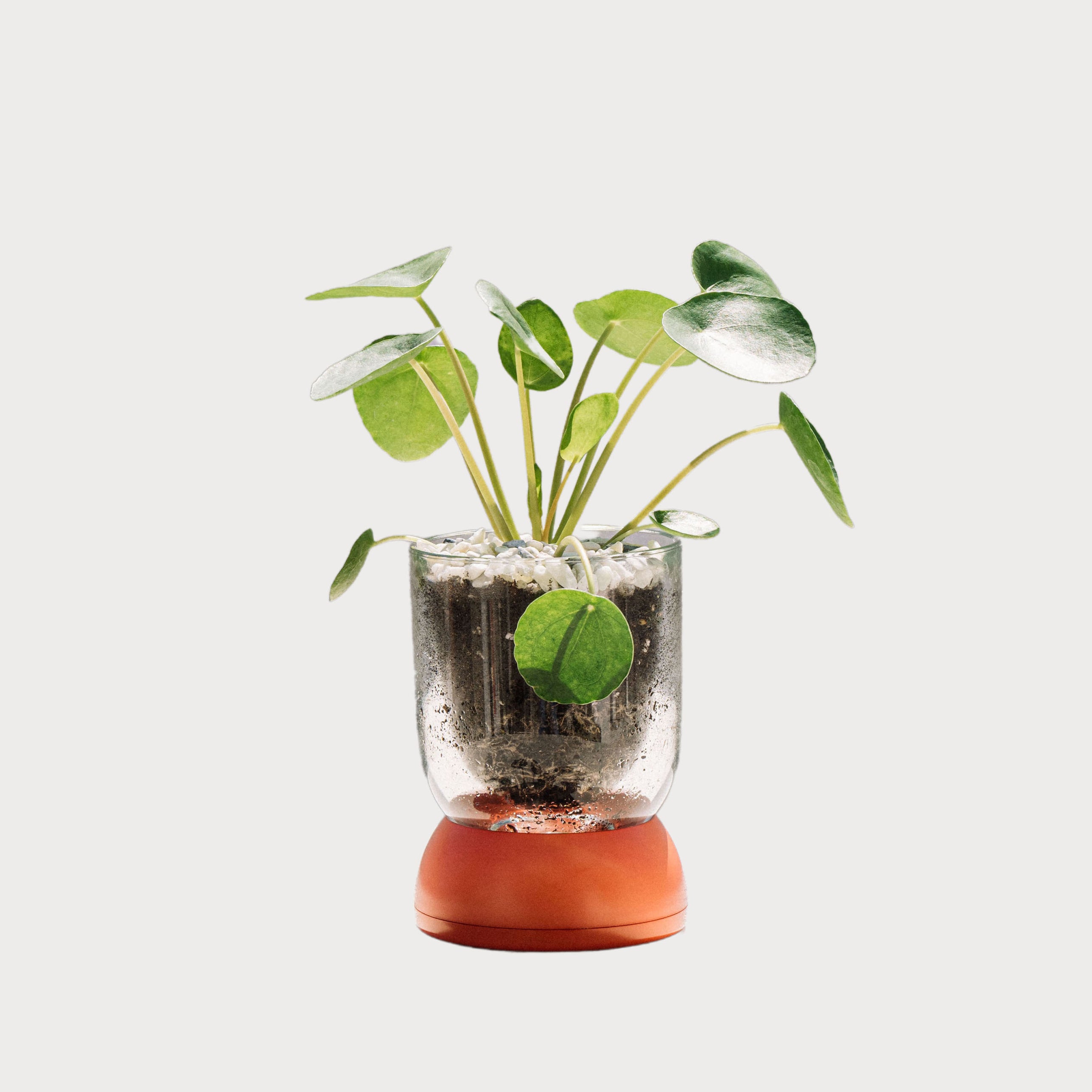 BMIX Горшок для растений