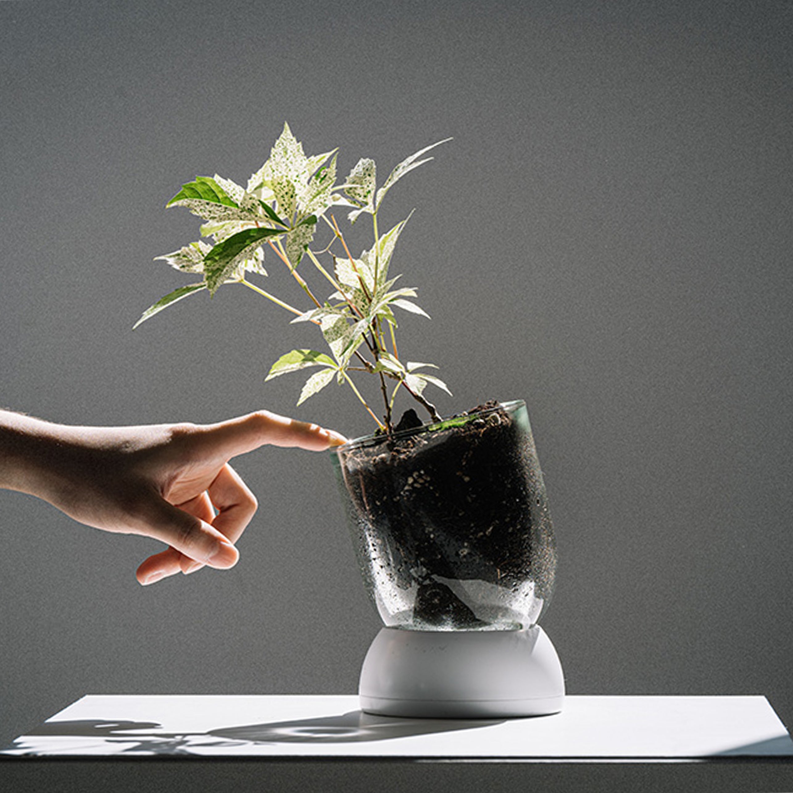 BMIX Горшок для растений