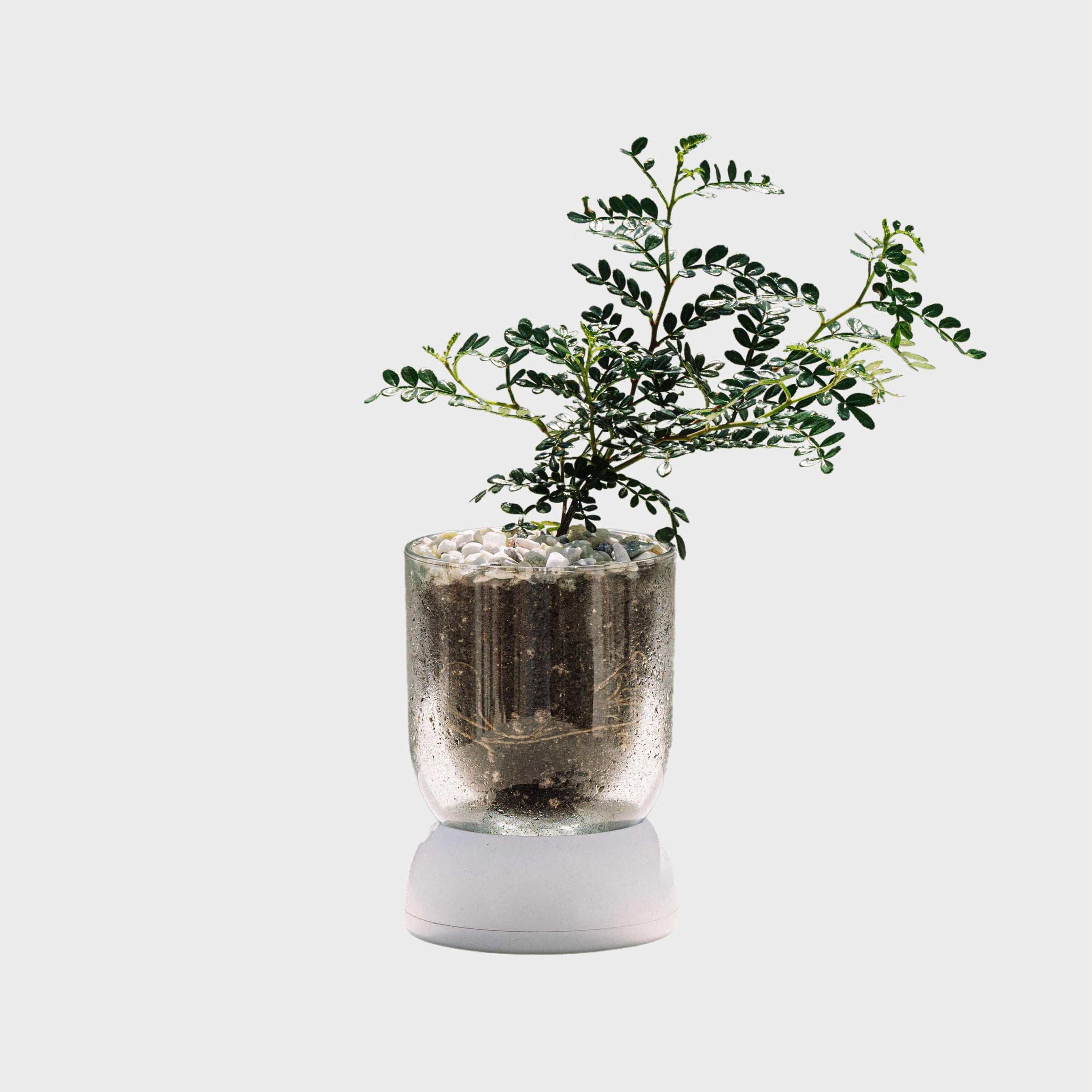 BMIX Горшок для растений